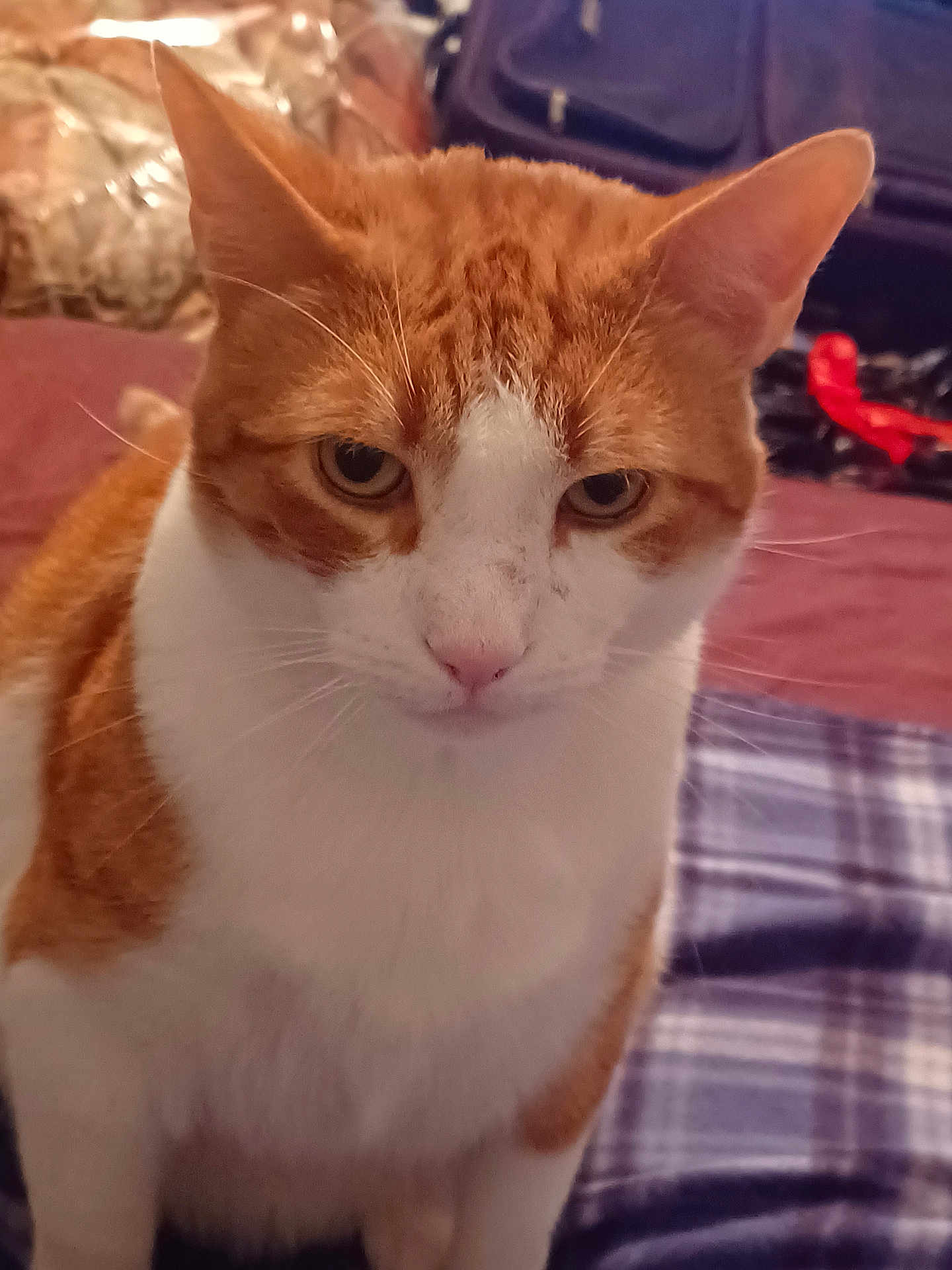 Buster