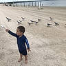 Raylon joined the competition — help win amazing prizes! child, beach, sand, seagulls, water, shoreline, barefoot, blue_clothing, outdoor, nature, bird, coast, sky, people, vacation, summer, toy, animal, shore, recreation
