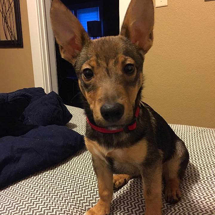 Cooper is registered to the contest to win money with this photo: