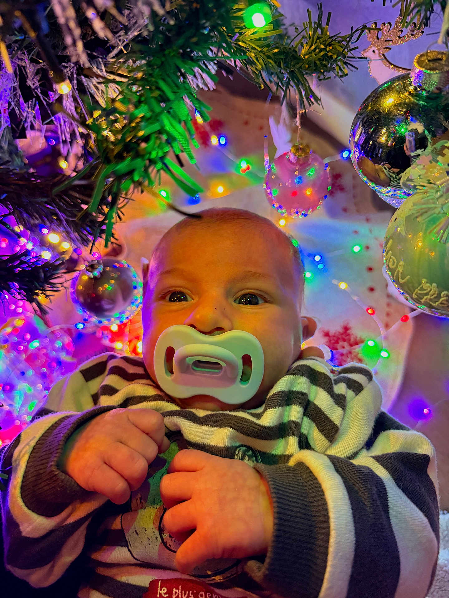 Eden a rejoint le concours — aidez-le/la à gagner de superbes lots ! baby, pacifier, striped_clothing, christmas_tree, christmas_lights, ornaments, festive, holiday, colorful_lights, decorations, infant, closeup, cute, cozy, indoors, celebration, child, face, hands, winter