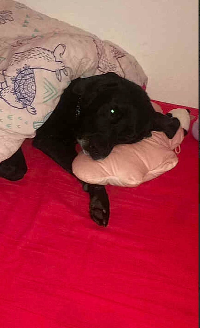 Kayser a rejoint le concours — aidez-le/la à gagner de superbes lots !