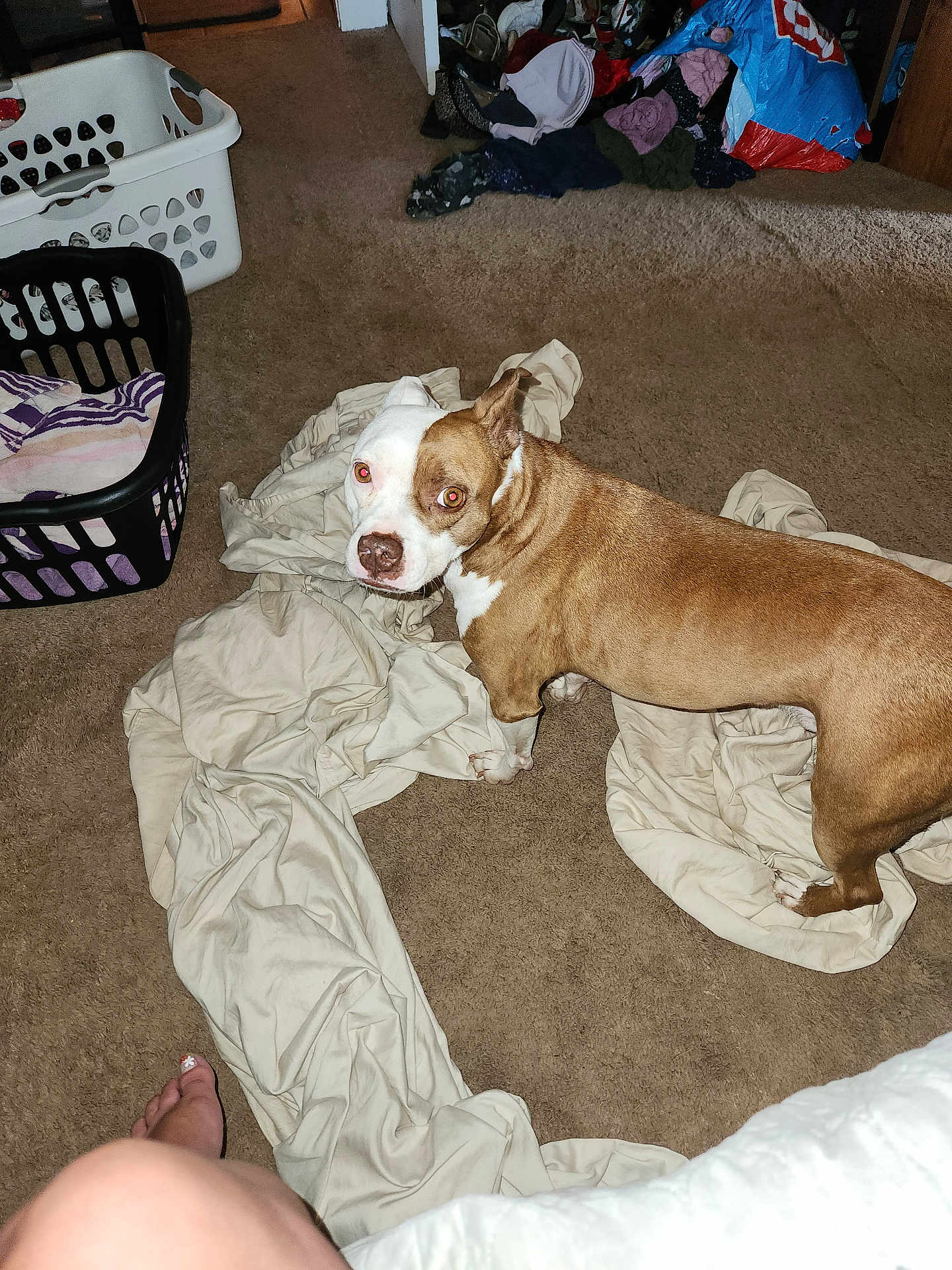 Max