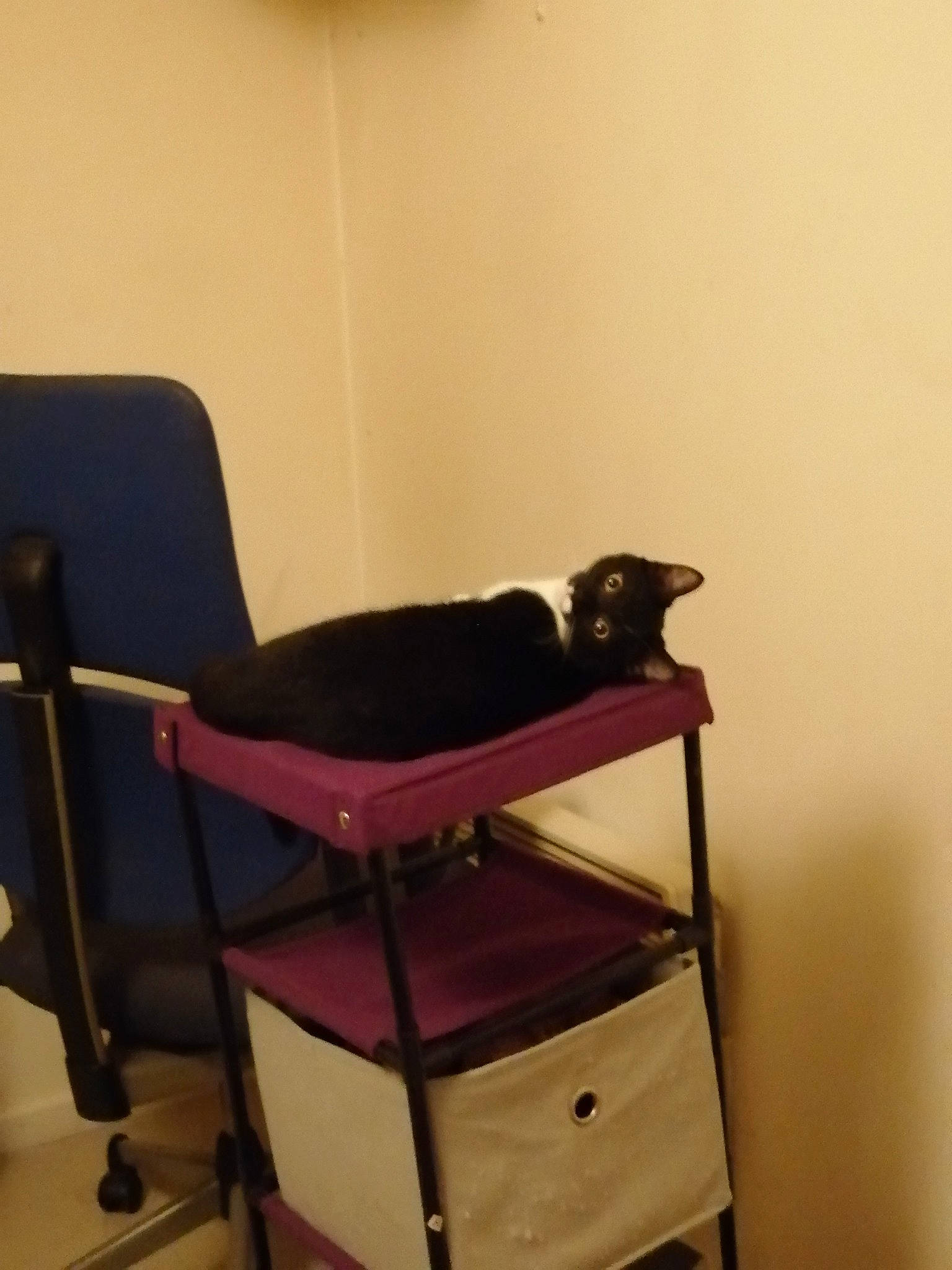 Amnesia a rejoint le concours — aidez-le/la à gagner de superbes lots ! chair, furniture, room