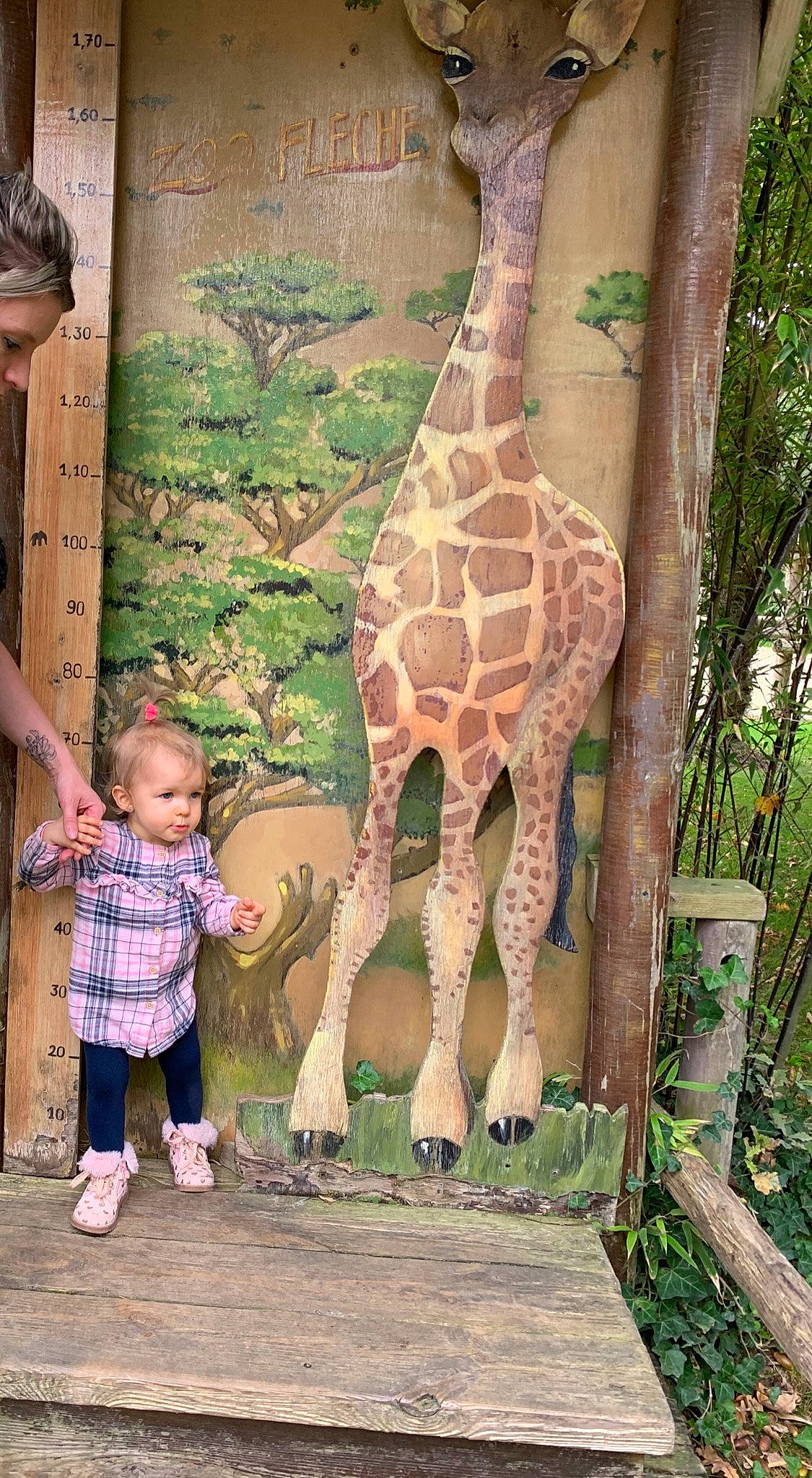 Lylou participe au concours pour gagner de l'argent avec cette photo : adaptation, fawn, giraffe, giraffidae, neck, organism, person, plant, terrestrial_animal, tree, wildlife, zoo