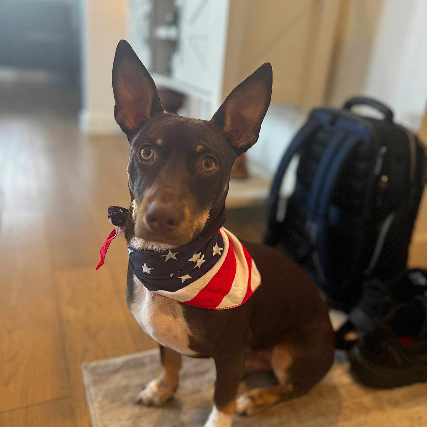 Paco