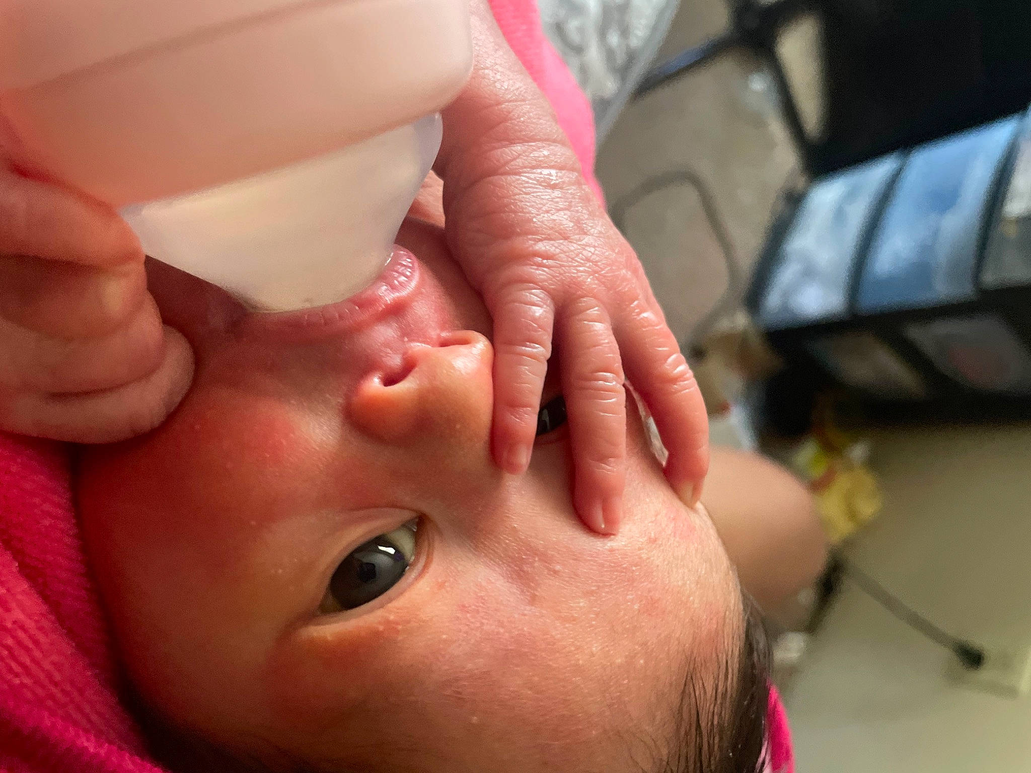 Eve joined the competition — help win amazing prizes! arm, cheek, chin, ear, eye, eyebrow, eyelash, hair, hand, head, human_body, jaw, joint, leg, lip, mouth, muscle, neck, nose, person