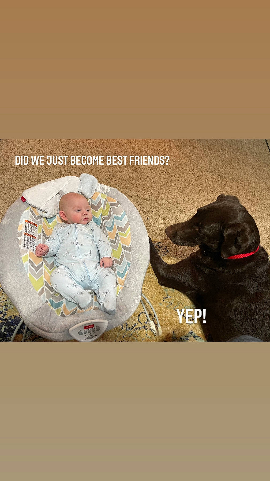 Easton is registered to the contest to win money with this photo: baby, bedtime, carnivore, comfort, companion_dog, dog, dog_breed, dog_collar, font, guard_dog, happy, labrador_retriever, linens, love, mammal, person, photo_caption, sitting, sleeve, toddler