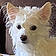 Snowball