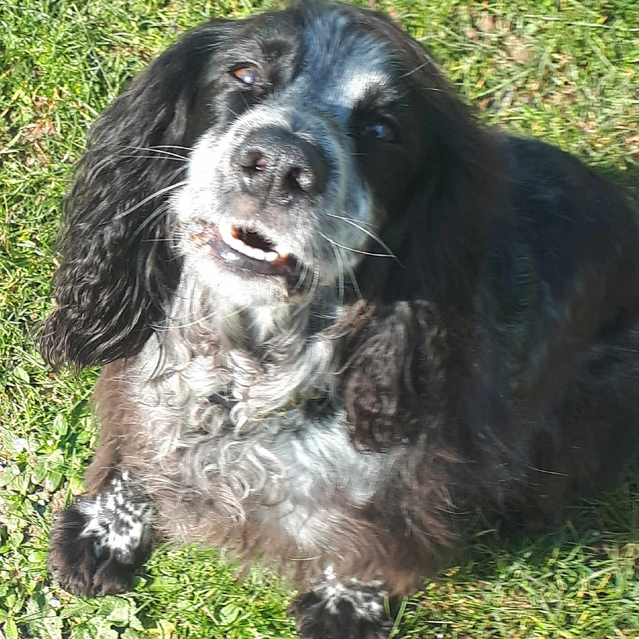 Skye