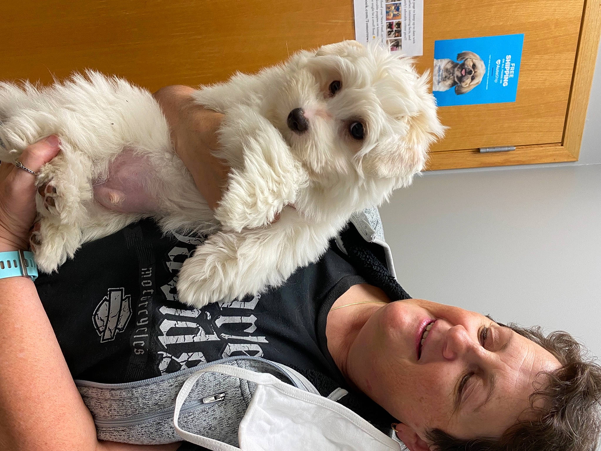 Whatley joined the competition — help win amazing prizes! canidae, carnivore, comfort, companion_dog, dog, dog_breed, dog_clothes, dog_supply, fawn, fur, labradoodle, puppy_love, shih_poo, small_terrier, snout, sporting_group, sunglasses, t_shirt, terrier, toy_dog