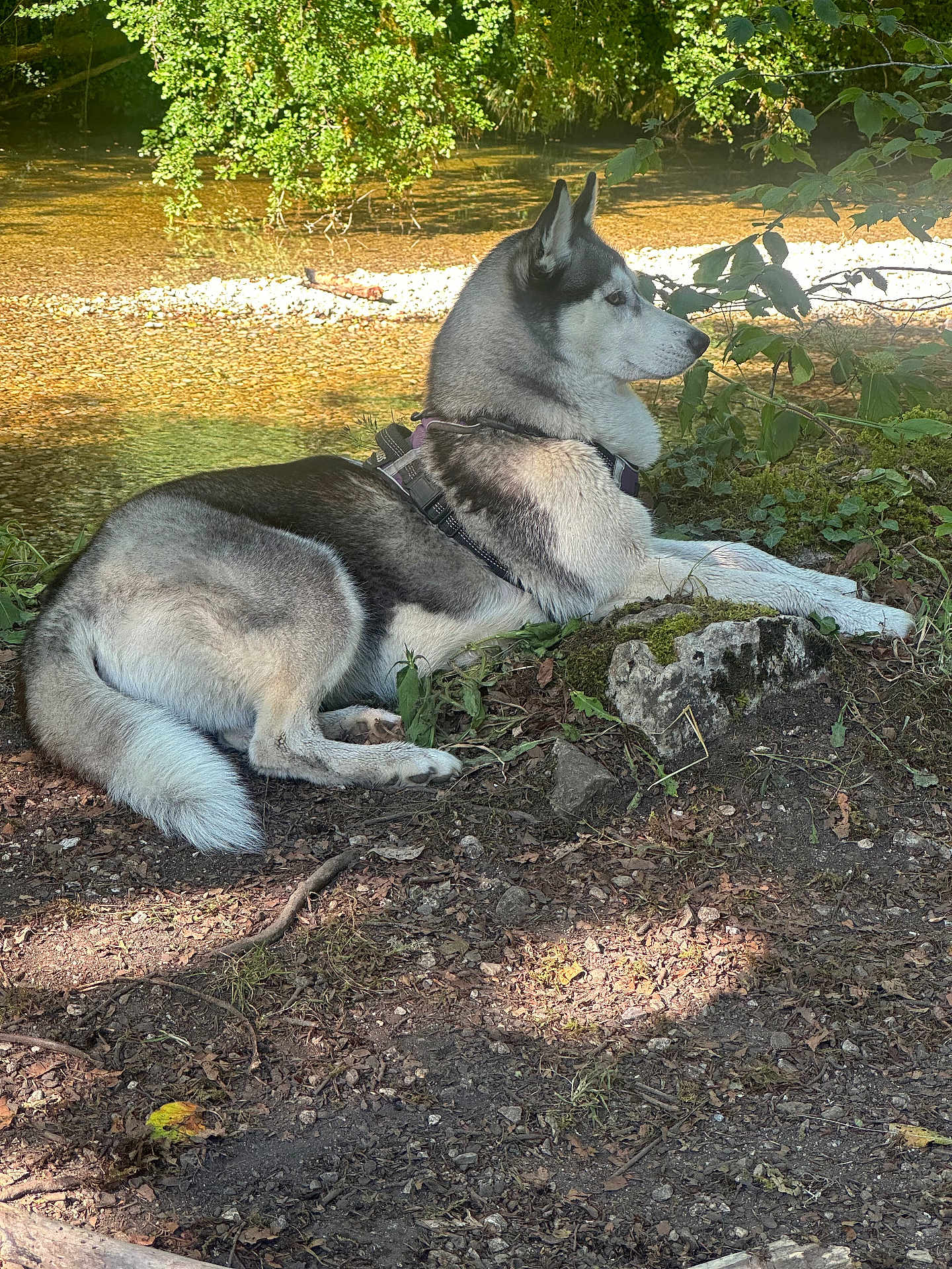 Ulka