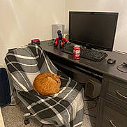 Theia And Gizmo joined the competition — help win amazing prizes! can, carpet, cat, chair, computer_monitor, cozy, desk, dr_pepper, electronics, headphones, home_office, indoor, keyboard, mouse, office_chair, orange_cat, pet, plaid_blanket, sleeping_cat, workstation