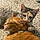 Theia And Gizmo