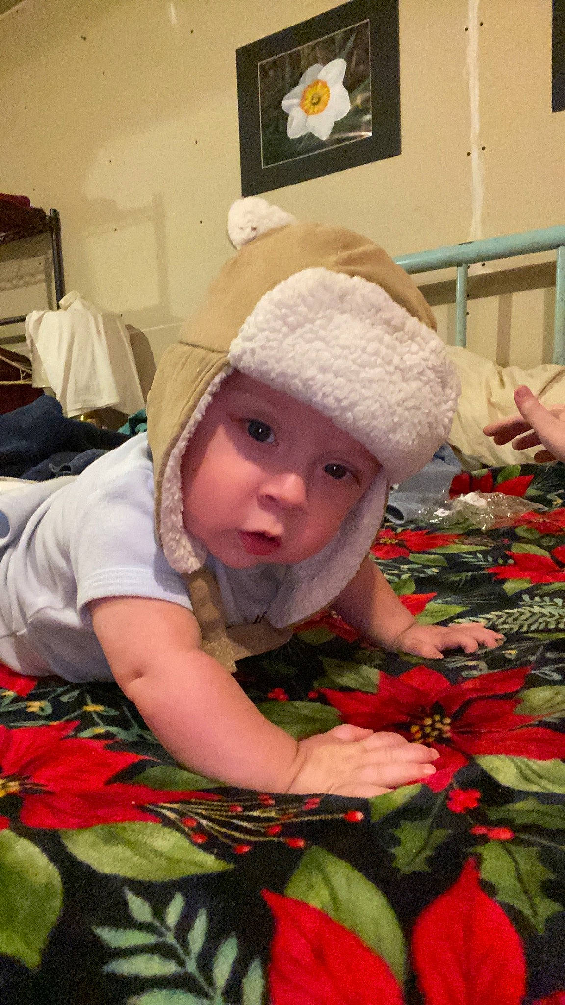Ben joined the competition — help win amazing prizes! baby, baby_toddler_clothing, cap, child, christmas, christmas_eve, costume_hat, fashion_accessory, flooring, fun, hat, headwear, holiday, linens, pattern, person, petal, picture_frame, room, sitting