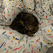 Coquillettes participe au concours pour gagner de l'argent avec cette photo : cat, tabby, sleeping, curled_up, blanket, patterned_blanket, colorful, cozy, indoor, resting, fur, bed, soft, feline, animal, pet, comfort, warm, cute, hidden
