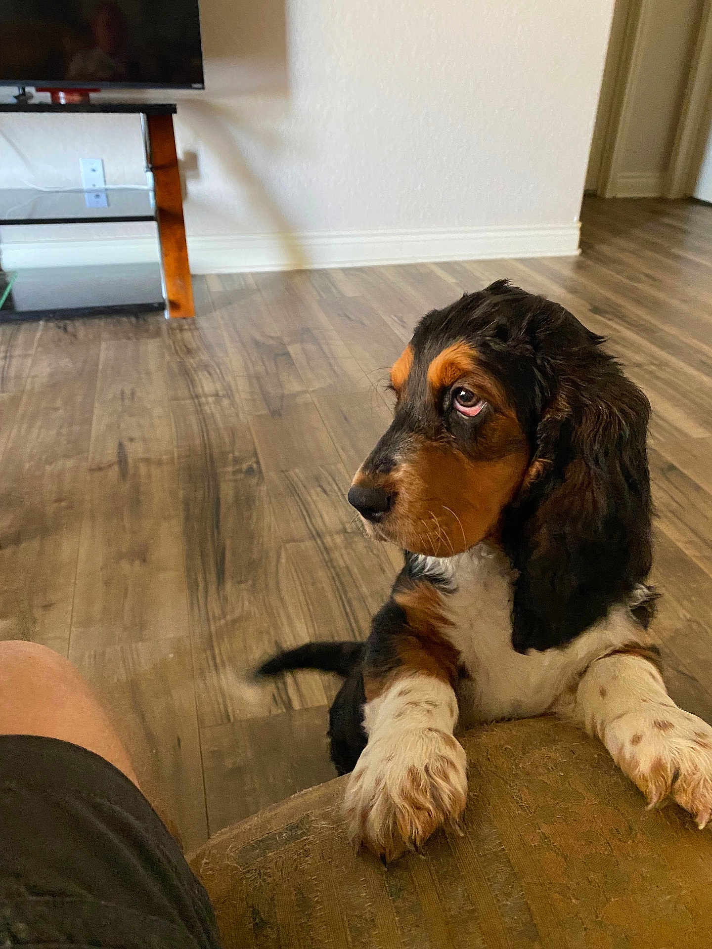 Cooper