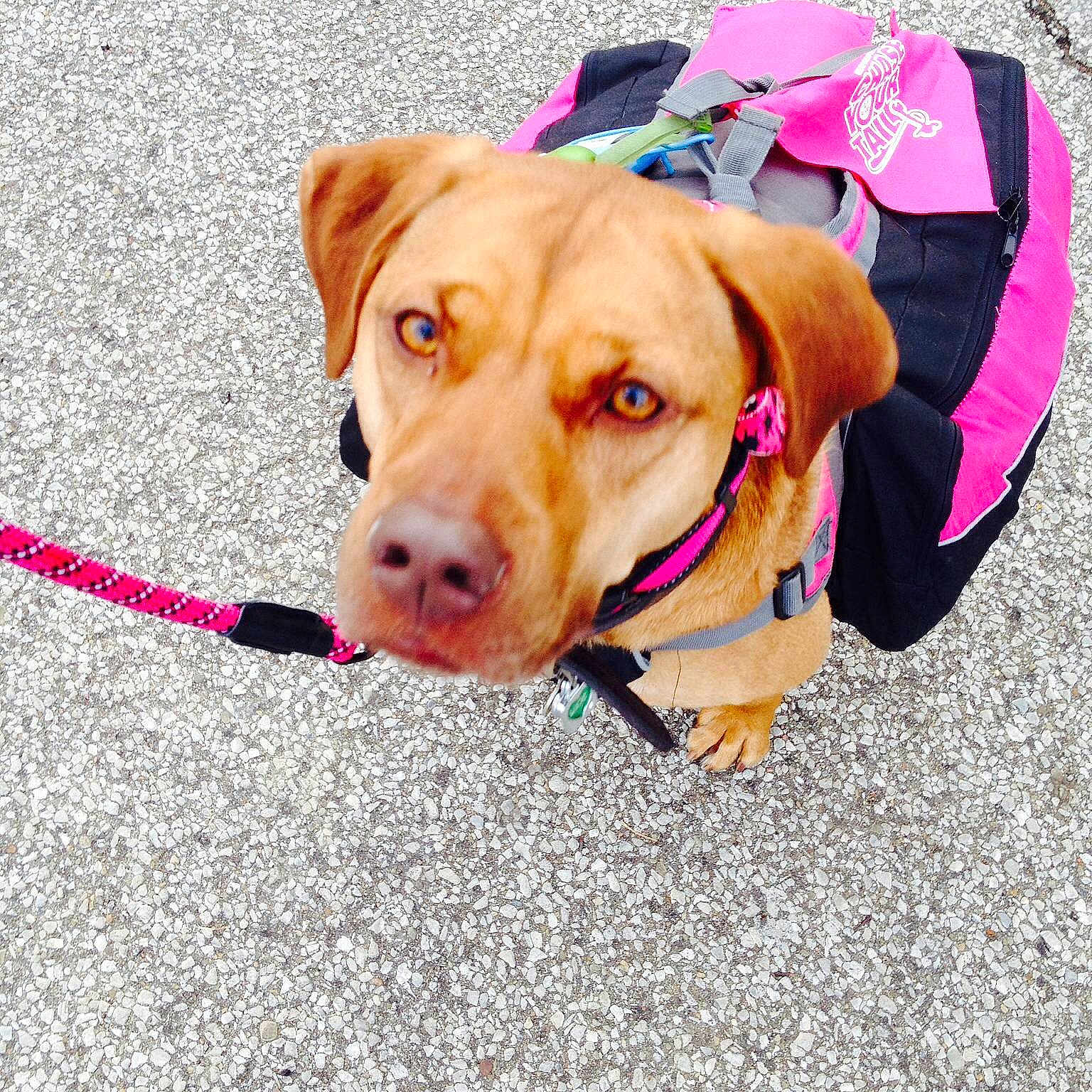 Lucie Louiza Latte joined the competition — help win amazing prizes!