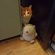 Horace a rejoint le concours — aidez-le/la à gagner de superbes lots ! cat, orange_cat, white_cat, plush_toy, hedgehog_toy, wooden_floor, cabinet, indoor, curious, peeking, pet, animal, feline, soft_toy, floor, corner, household, pet_cat, cozy, domestic