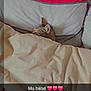 abyssinian, animal, baby, bed, bedroom, blanket, cat, clothing, couch, cushion, furniture, homedecor, indoors, kitten, linen, person, pet, room, sleeping, t_shirt