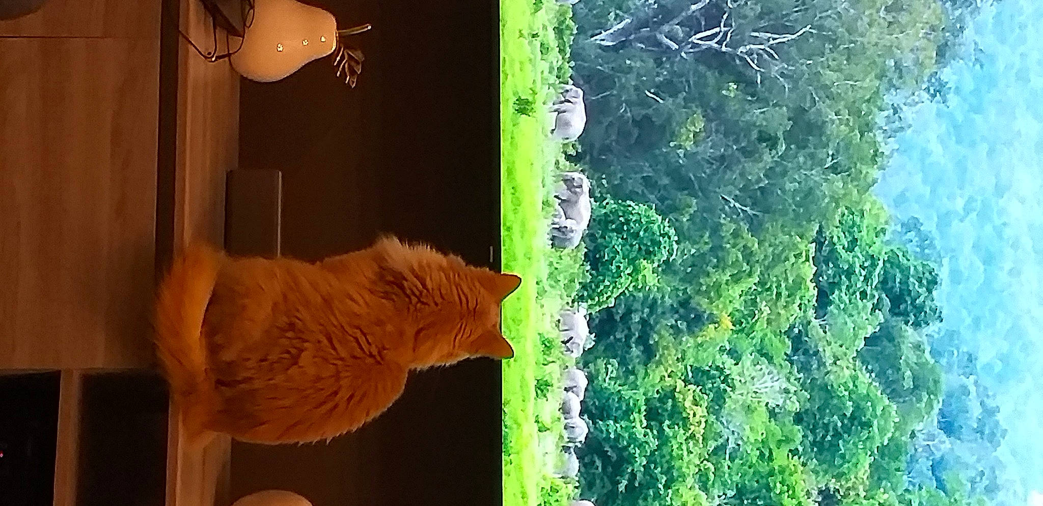 Caramel a rejoint le concours — aidez-le/la à gagner de superbes lots ! adaptation, art, fawn, felidae, granny_smith, grass, leaf, light, nature, organism, plant, terrestrial_animal, tints_and_shades, tree, trunk, vertebrate, water, window, wood, yellow