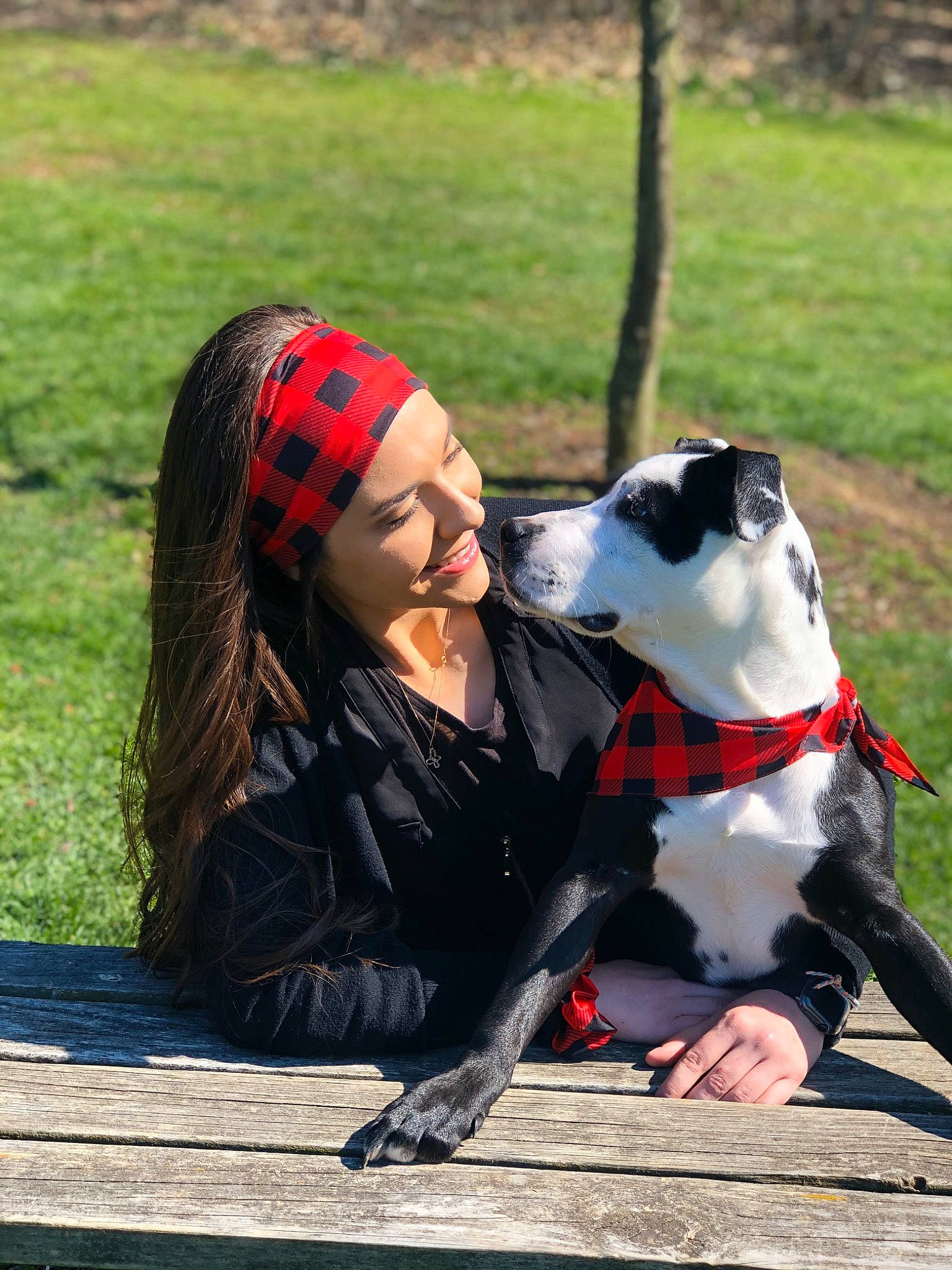 Dixie is registered to the contest to win money with this photo: american_staffordshire_terrier, canidae, carnivore, companion_dog, dog, dog_breed, fawn, grass, great_dane, guard_dog, leash, non_sporting_group, obedience_training, pit_bull, sporting_group