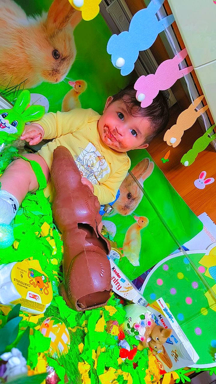 Walid Calimar a rejoint le concours — aidez-le/la à gagner de superbes lots ! art, baby, baby_products, baby_toddler_clothing, baby_toys, child, event, fun, green, guinea_pig, happy, pattern, person, pink, play, stuffed_toy, teddy_bear, textile, toddler, toy