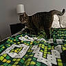 Cinder joined the competition — help win amazing prizes! alert, animal, bed, blanket, cat, cozy, curious, domestic_animal, furniture, home, indoor, lamp, nightstand, paws, pet, resting_place, striped, tabby_cat, tail, whiskers