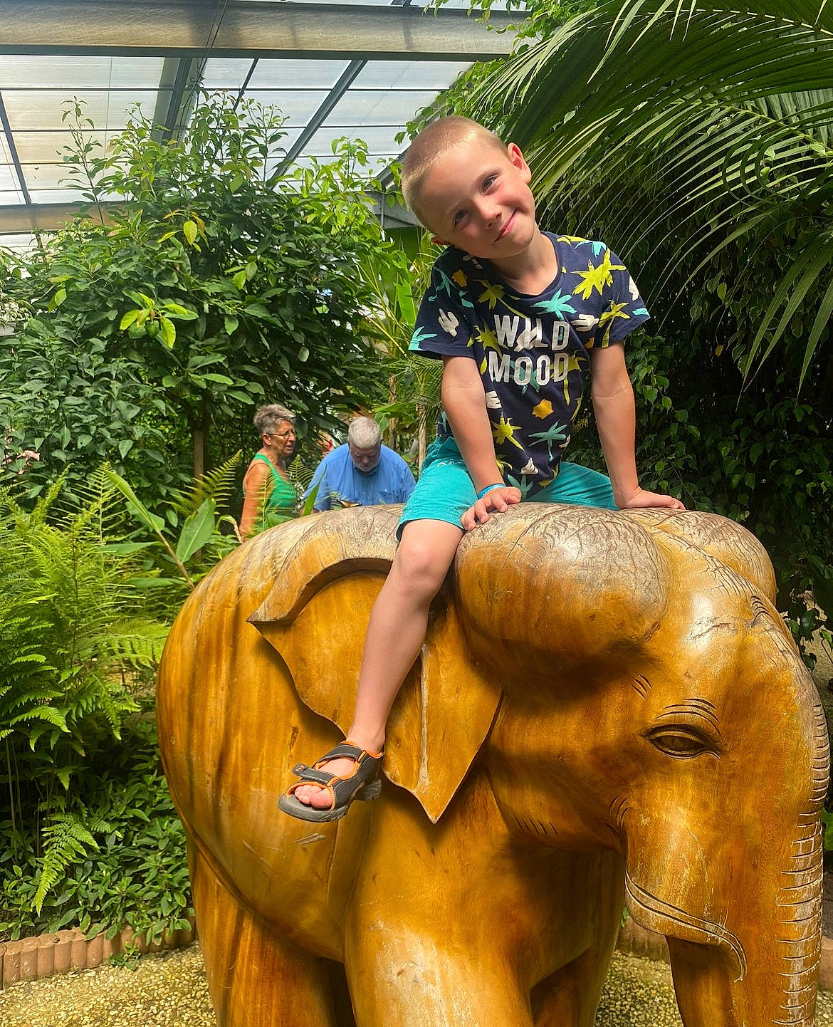 Théo a rejoint le concours — aidez-le/la à gagner de superbes lots ! art, bridle, equestrianism, fawn, fun, grass, horse_supplies, horse_tack, joy, landscape, leisure, mammal, pack_animal, person, plant, recreation, rein, sculpture, shorts, statue