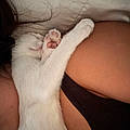 Pariss A.