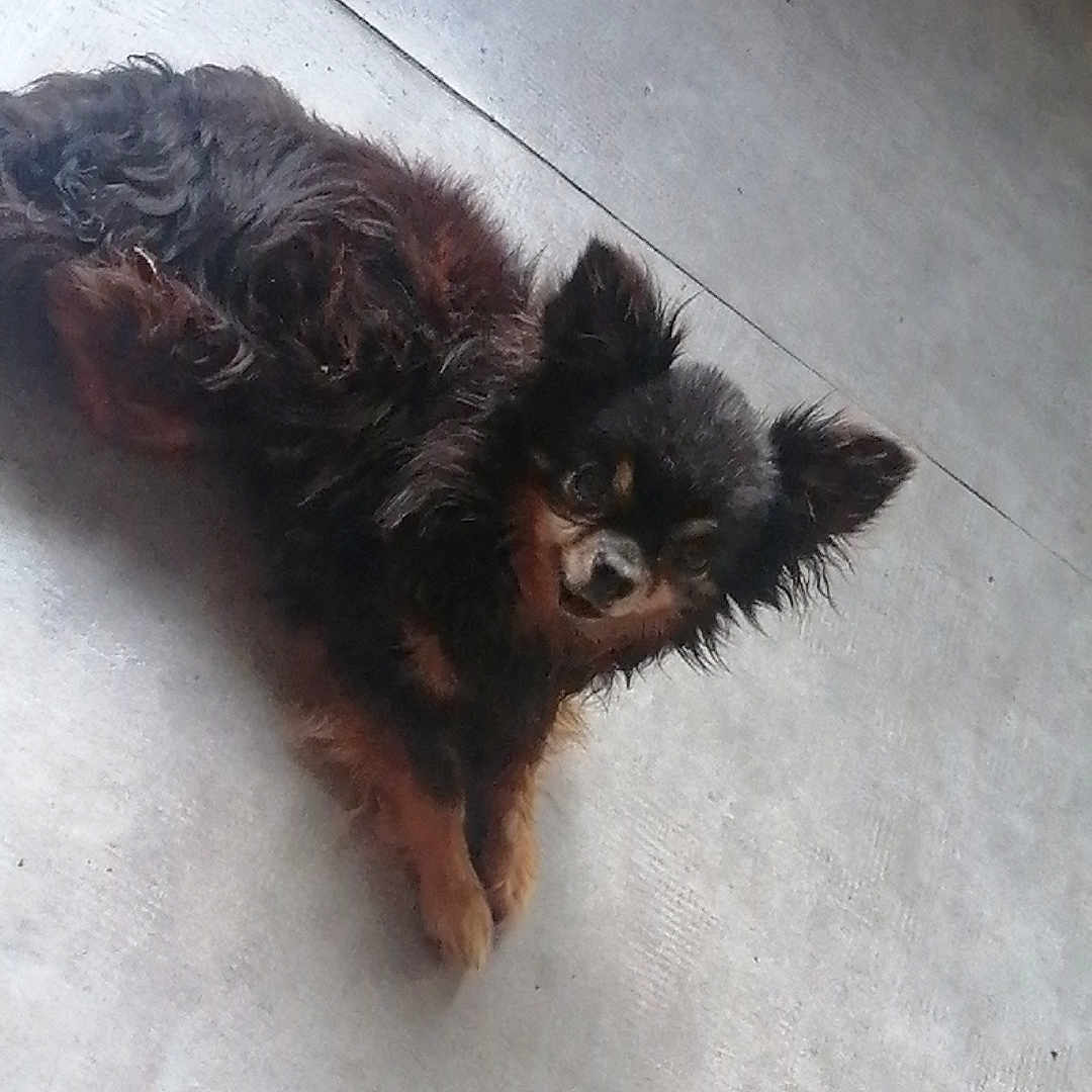 Marley