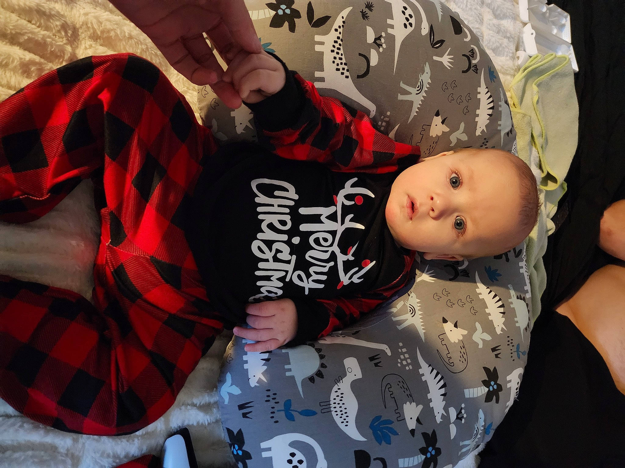 Chasyn is registered to the contest to win money with this photo: baby, black_hair, carmine, child, cool, event, flash_photography, flesh, fun, fur, happy, pattern, person, plaid, sitting, sleeve, t_shirt, tartan, textile, toddler