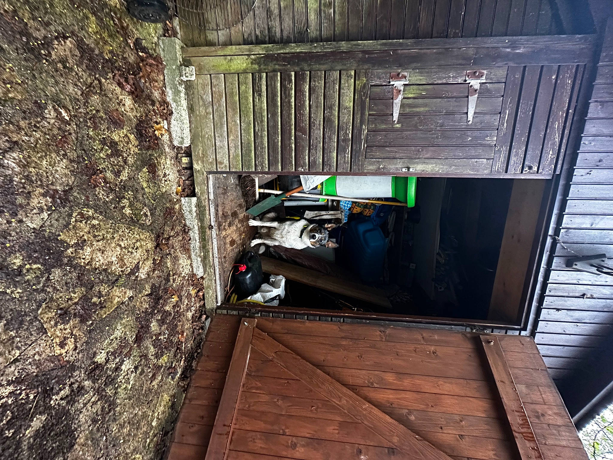 Sanka a rejoint le concours — aidez-le/la à gagner de superbes lots ! building, door, hardwood, house, log_cabin, lumber, metal, plank, room, shed, siding, trunk, wood, wood_stain