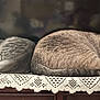 cat, sleeping, feline, two_cats, lace, table, indoor, resting, fur, domestic_animal, cute, animal, peaceful, cozy, tabby, gray_cat, striped, tail, quiet, relaxed