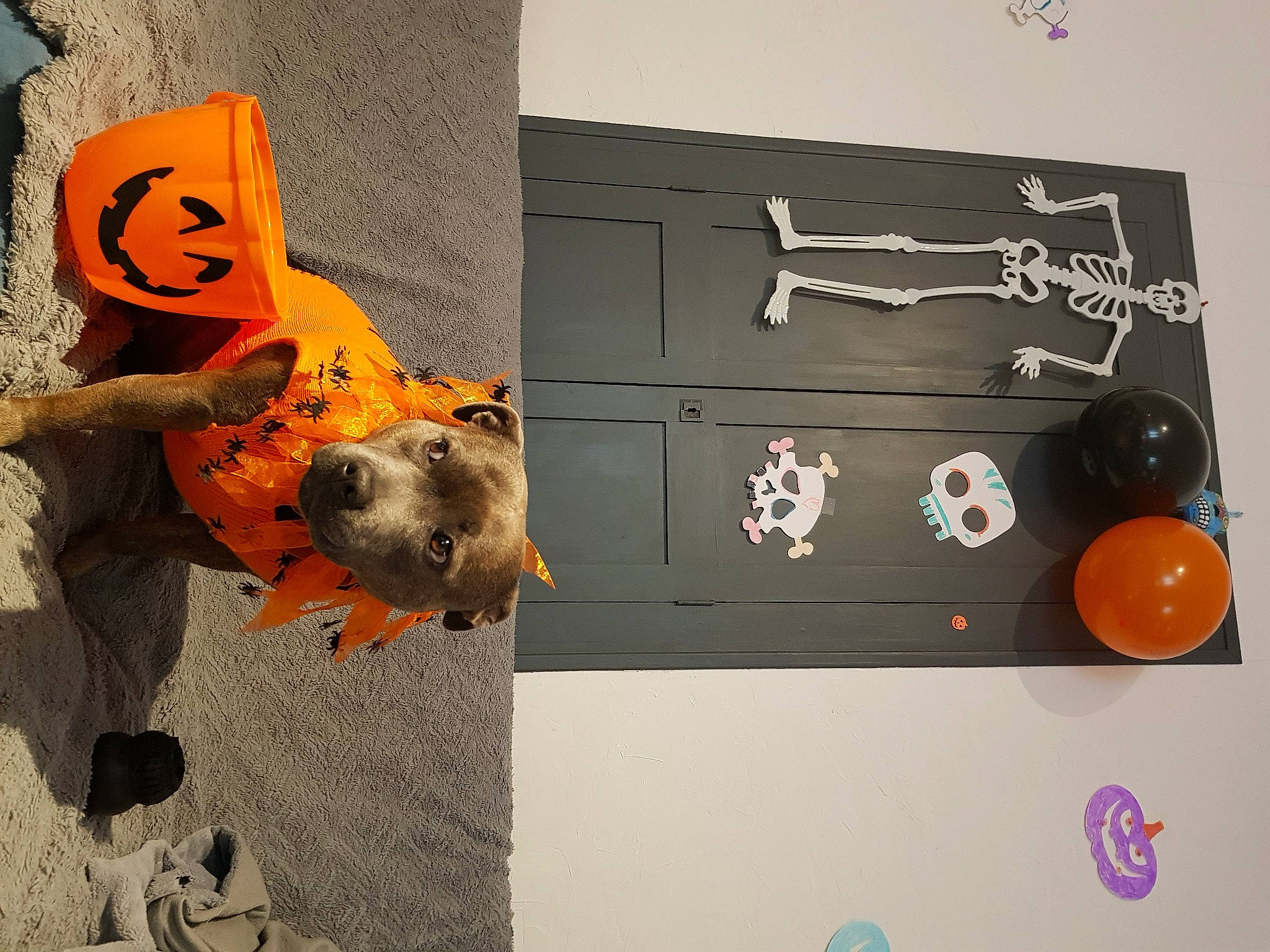 Ora a rejoint le concours — aidez-le/la à gagner de superbes lots ! art, concrete, fashion_accessory, font, graphic_design, graphics, illustration, room, visual_arts, wood