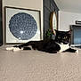 cat, tuxedo_cat, pet, indoor, living_room, countertop, decor, wall_art, clock, plant, whiskers, black_and_white, portrait, relaxed, lounging, furniture, big_eyes, close_up, textured_surface, tabletop