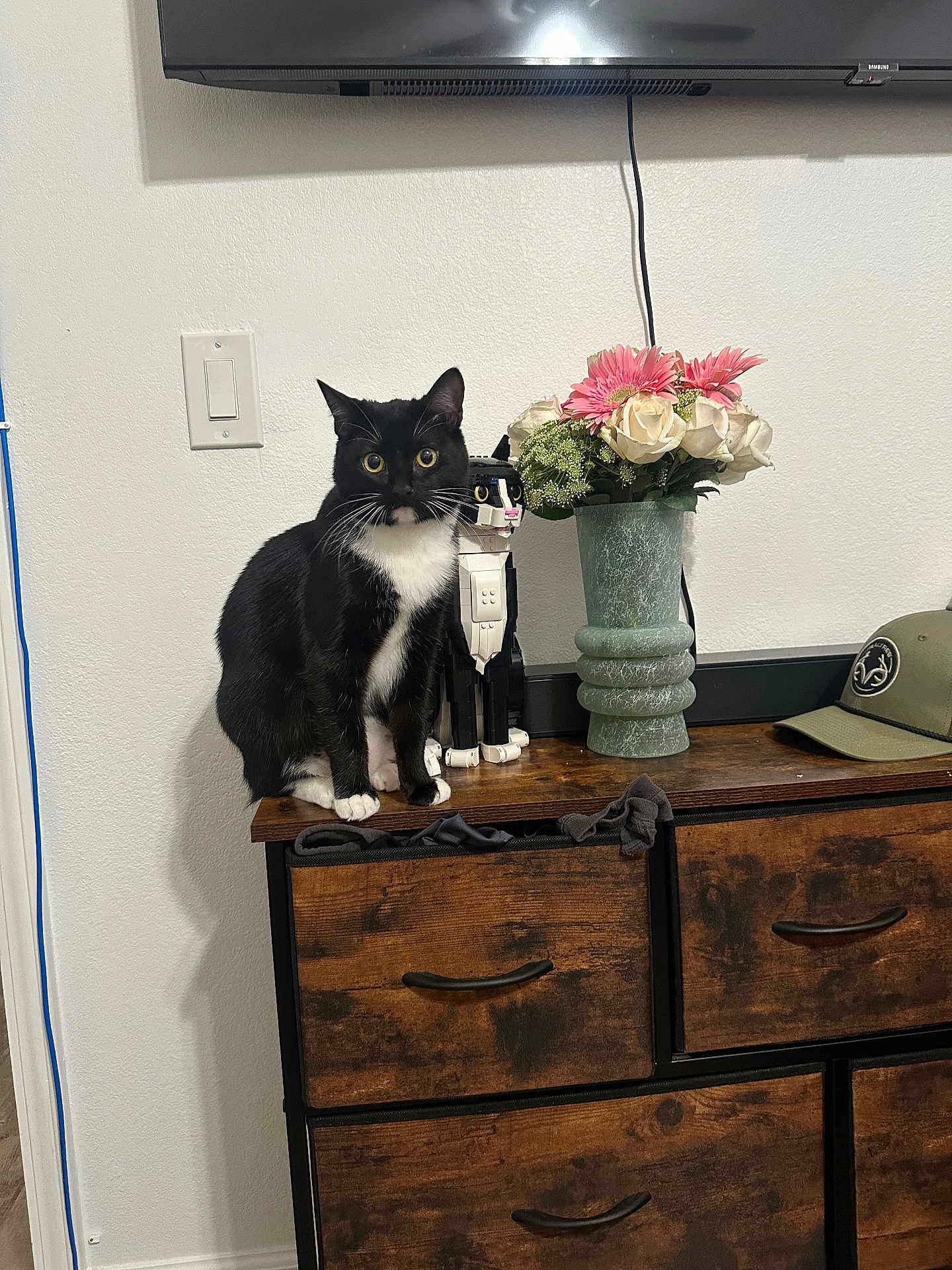 Wednesday joined the competition — help win amazing prizes! cat, tuxedo_cat, flowers, vase, dresser, wooden_drawer, robot_toy, tv, hat, wall, light_switch, power_cord, indoor, sitting, whiskers, paws, decor, portrait, black_and_white_cat, furniture