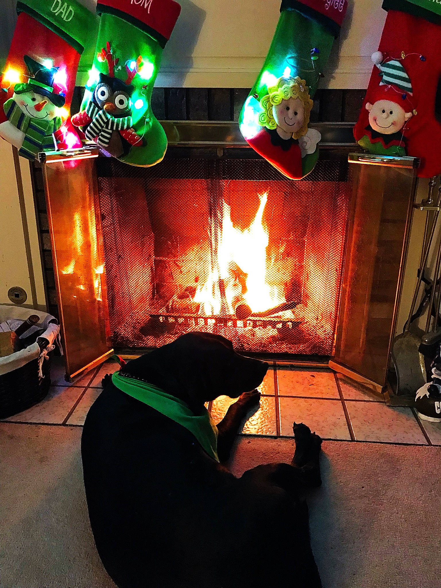 Midnight is registered to the contest to win money with this photo: chair, comfort, darkness, display_device, entertainment, event, fire, fire_screen, fireplace, flooring, fun, games, gas, hearth, heat, light, machine, recreation, room, visual_effect_lighting