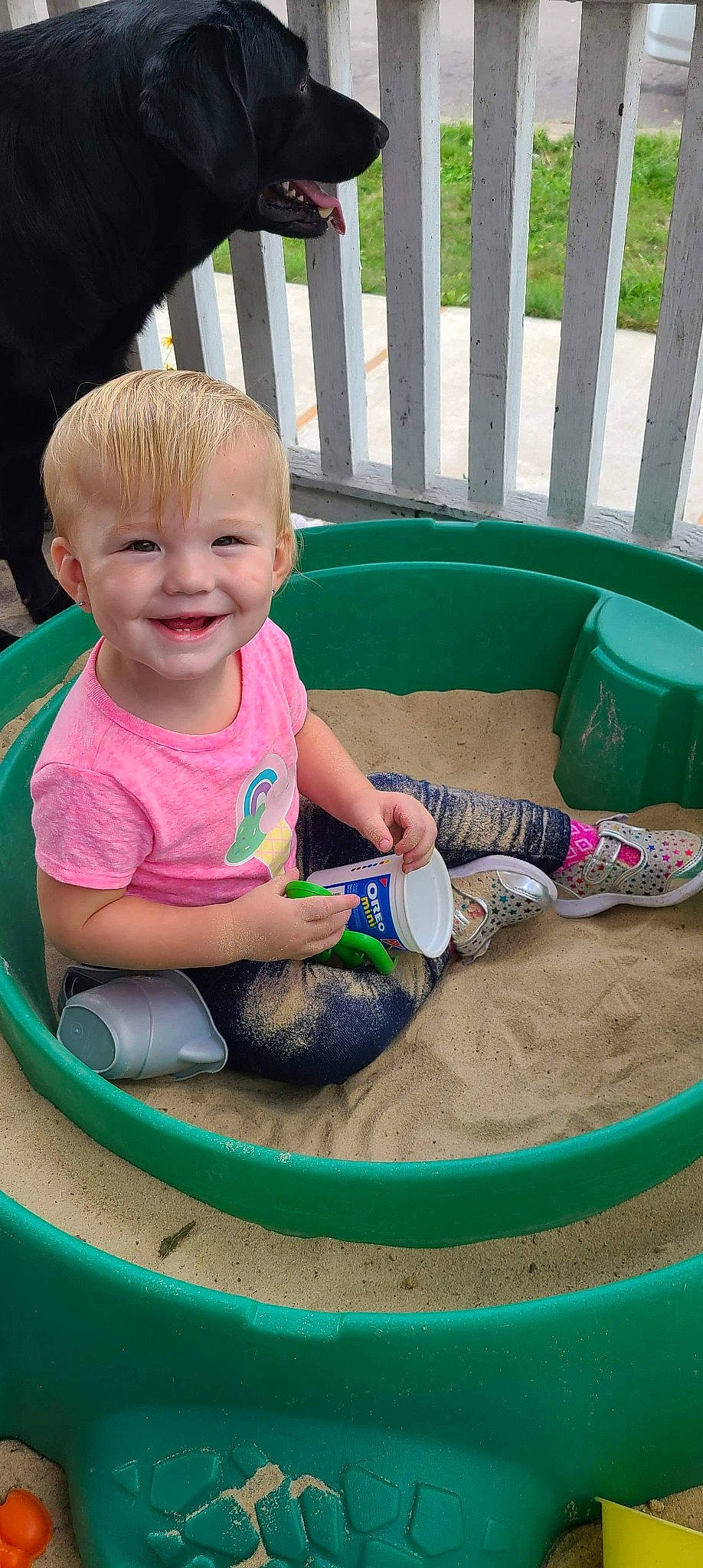 Ayla is registered to the contest to win money with this photo: child, green, joy, outdoor_play_equipment, person, play, playground, recreation, smile, summer, toddler