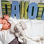 baby, newborn, infant, plush_toy, elephant, blanket, hat, white_clothing, raised_hands, lying_down, colorful_letters, patterned_letters, soft_toy, indoor, portrait, cute, child, sleepwear, fabric, baby_boy