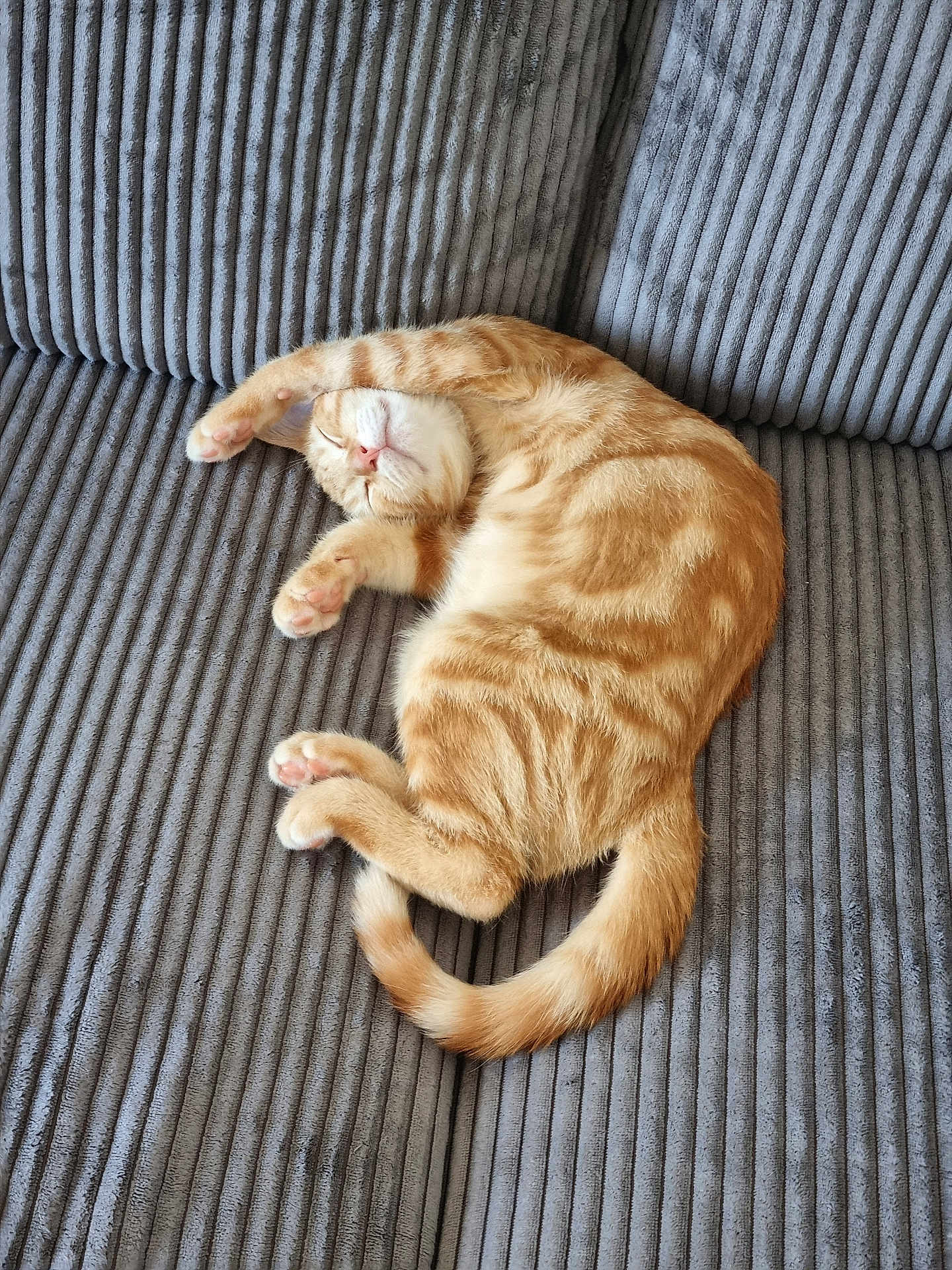 Sunny