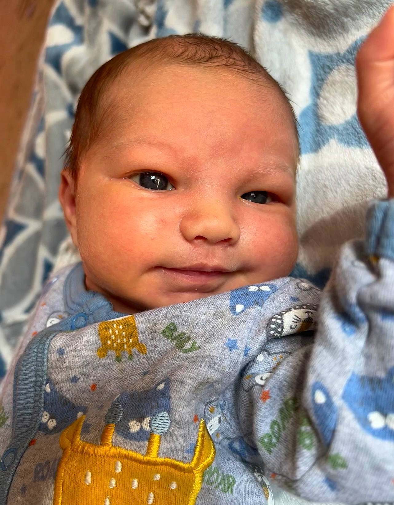 Rip joined the competition — help win amazing prizes! azure, baby, cheek, chin, cool, eyelash, face, facial_expression, forehead, happy, iris, mouth, nose, outerwear, person, photograph, product, skin, smile, textile