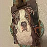 dog, bulldog, dog_portrait, animal, pet, face, eyes, nose, ears, white_and_brown, blue_eyes, serious_expression, close_up, wall, clipboard, clip, wood, distressed_paint, indoor, photograph
