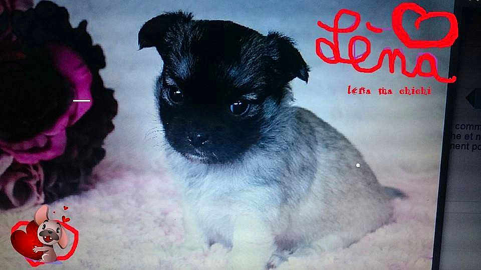 Léna