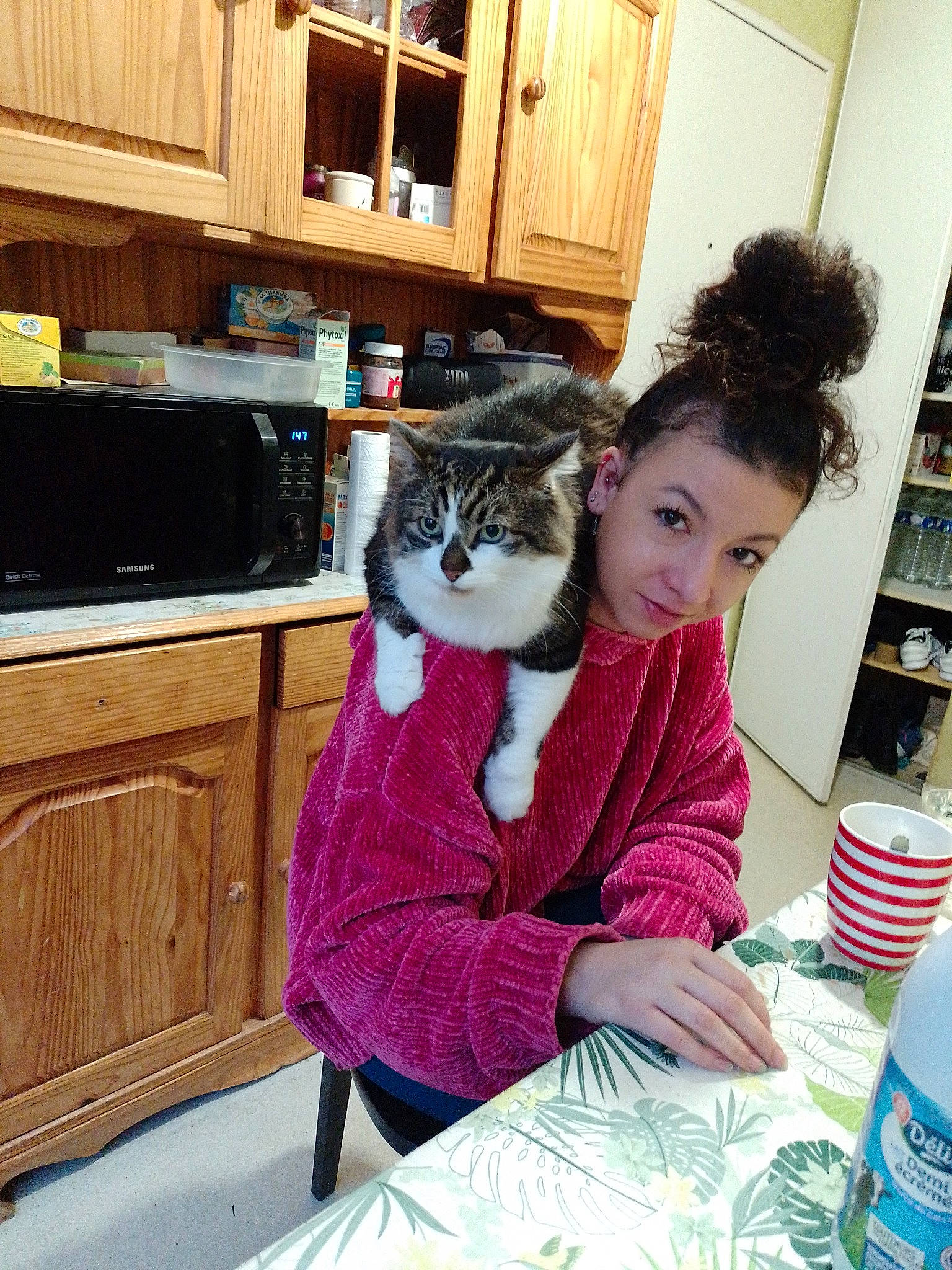 Bouddha a rejoint le concours — aidez-le/la à gagner de superbes lots ! cabinetry, carnivore, cat, comfort, drawer, fashion_design, felidae, flooring, fur, hardwood, home_appliance, kitchen_appliance, lap, microwave_oven, shelf, shelving, small_to_medium_sized_cats, tableware, whiskers, wood