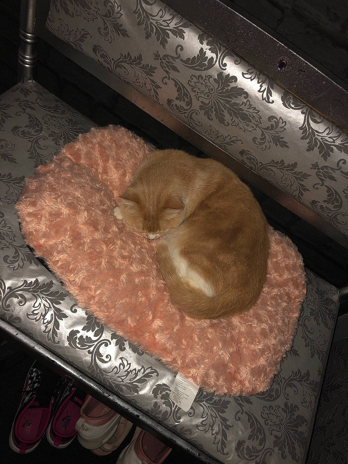 Nanoune a rejoint le concours — aidez-le/la à gagner de superbes lots ! fawn