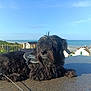 black_dog, clouds, coast, dog, fence, fur, greenery, harness, house, landscape, nature, ocean, outdoor, pet, resting, sea, shadow, sky, sunlight, table