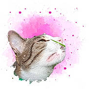 Xena a rejoint le concours — aidez-le/la à gagner de superbes lots ! animal, artistic, cat, closeup, cute, ear, face, fur, grass, mouth, muzzle, nose, pet, pink_background, playful, portrait, striped, tabby, watercolor, whiskers
