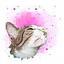 animal, artistic, cat, closeup, cute, ear, face, fur, grass, mouth, muzzle, nose, pet, pink_background, playful, portrait, striped, tabby, watercolor, whiskers