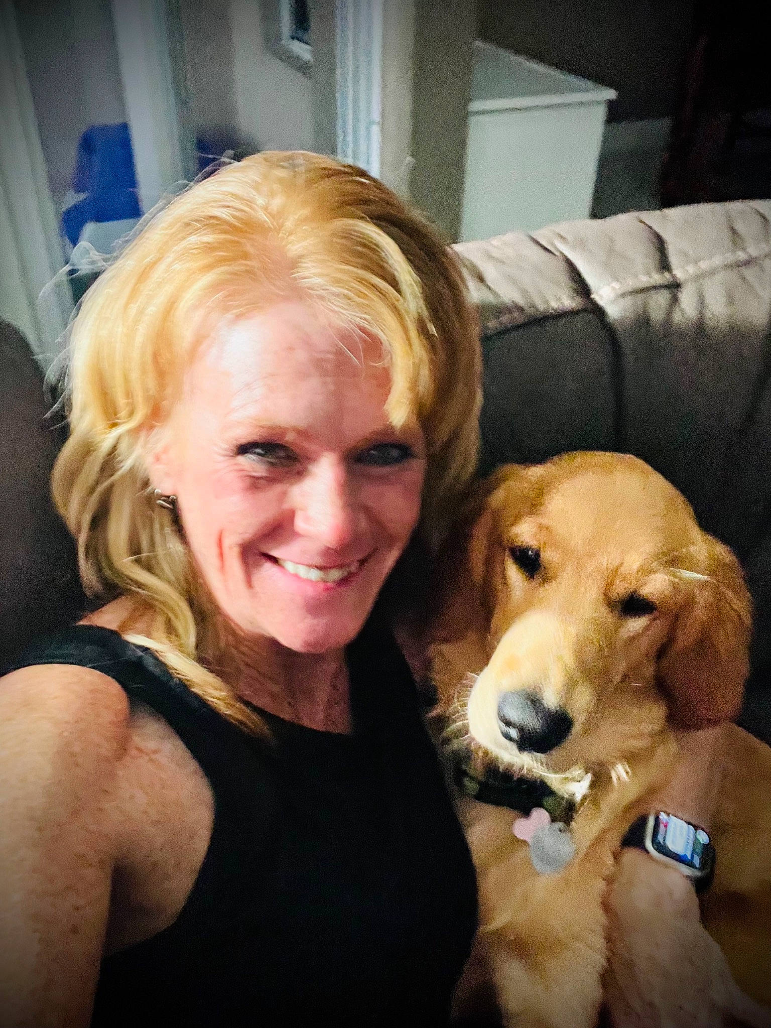 Sydney Sue joined the competition — help win amazing prizes! blond, canidae, carnivore, chair, companion_dog, dog, dog_breed, ear, event, fawn, fun, fur, happy, jewellery, retriever, sitting, smile, snout, sporting_group, vest