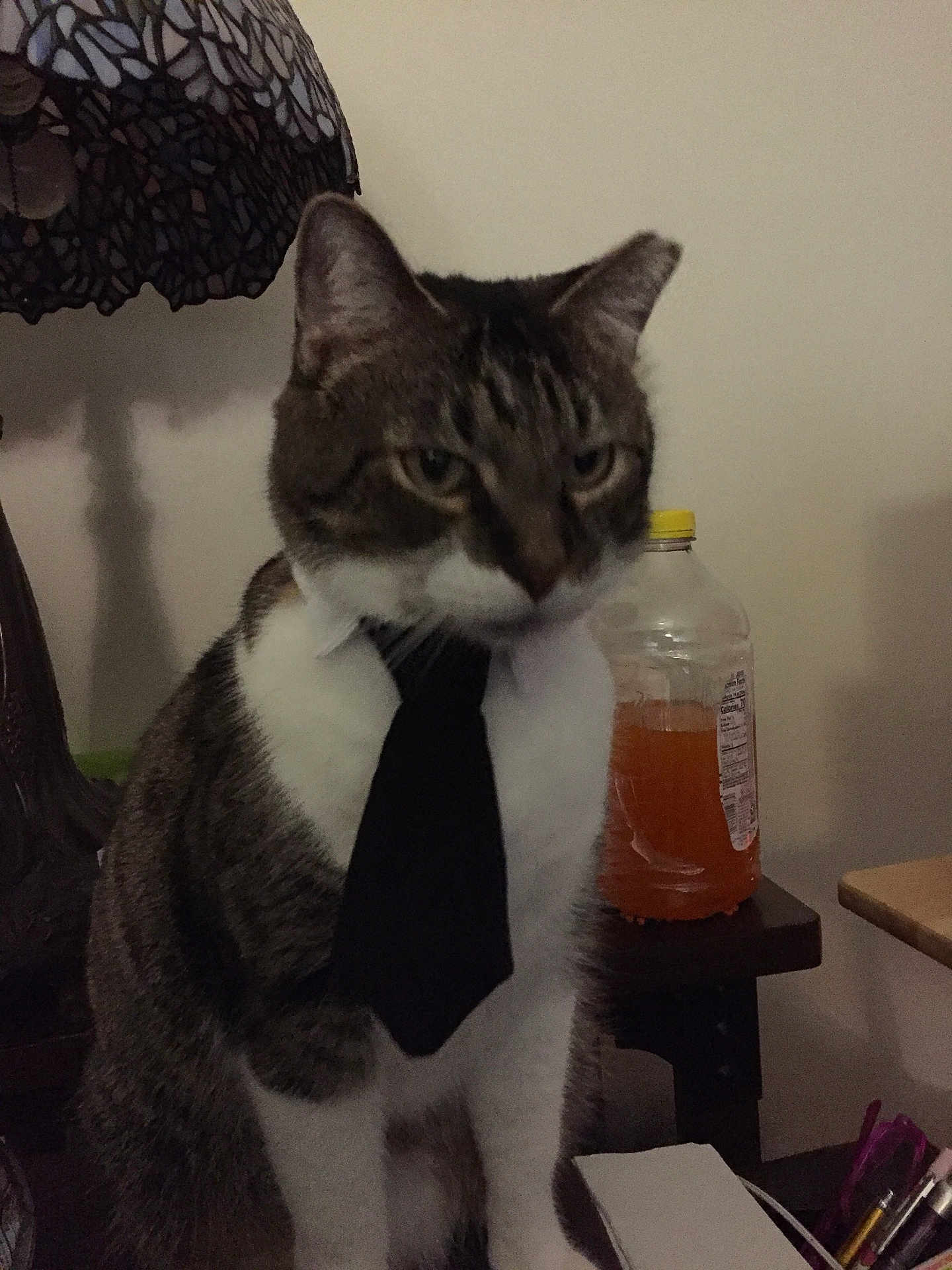 Ollie
